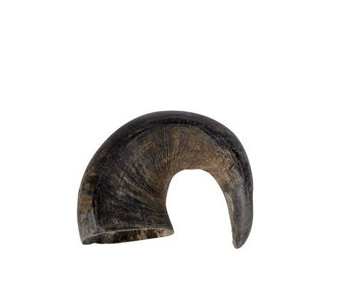 water_buffalo_bully_horn_chew