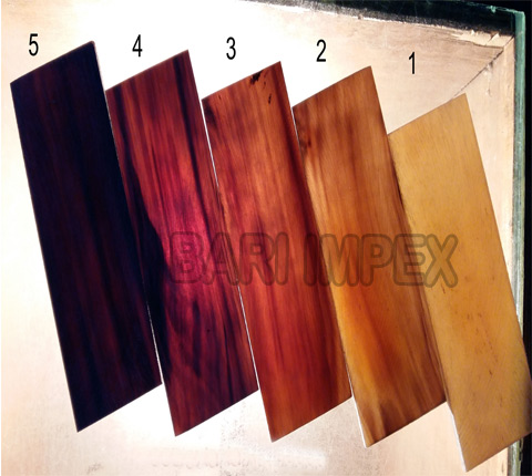 horn_optical_frame_color